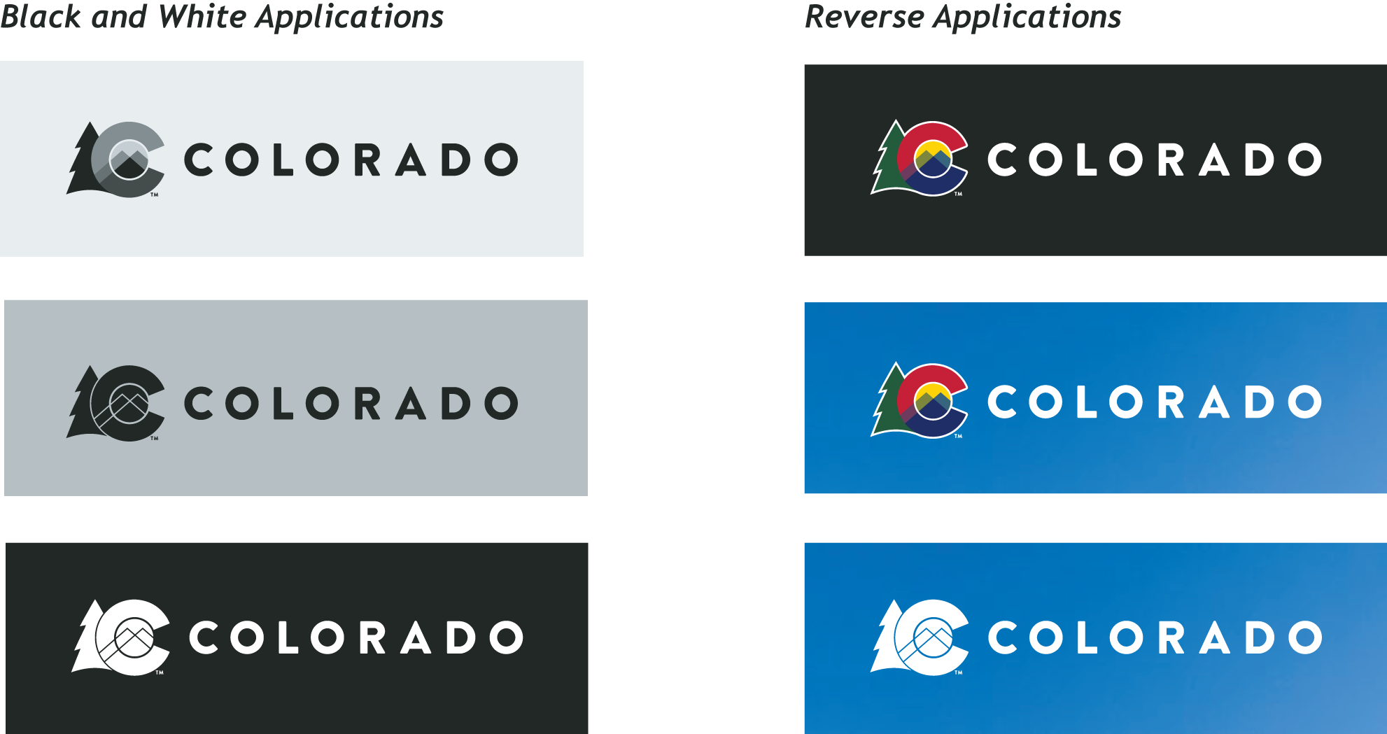 IDS brand element examples of the horizontal logo for black and white applications and reverse applications of different color backgrounds, gray, black, and cyan/blue..
